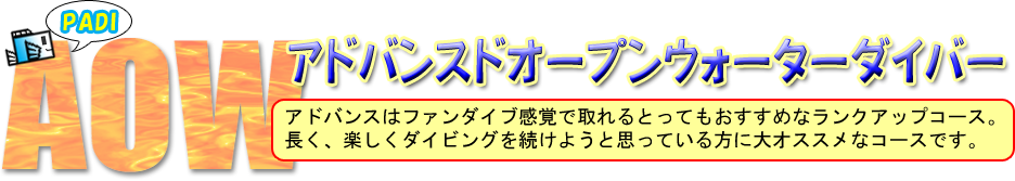 アドバンス取得講習