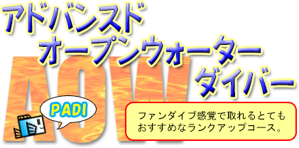 アドバンス取得講習