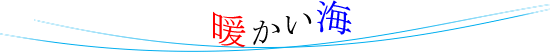 奄美大島の暖かい海