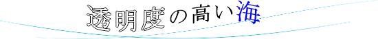 透明度の高い海