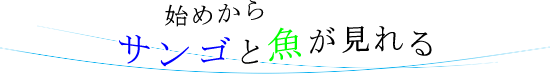 始めからサンゴと魚が見れる