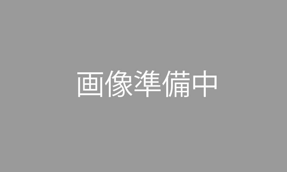 デッショ極