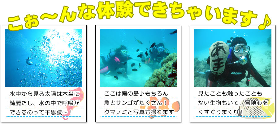 こ～んな体験できちゃいます！