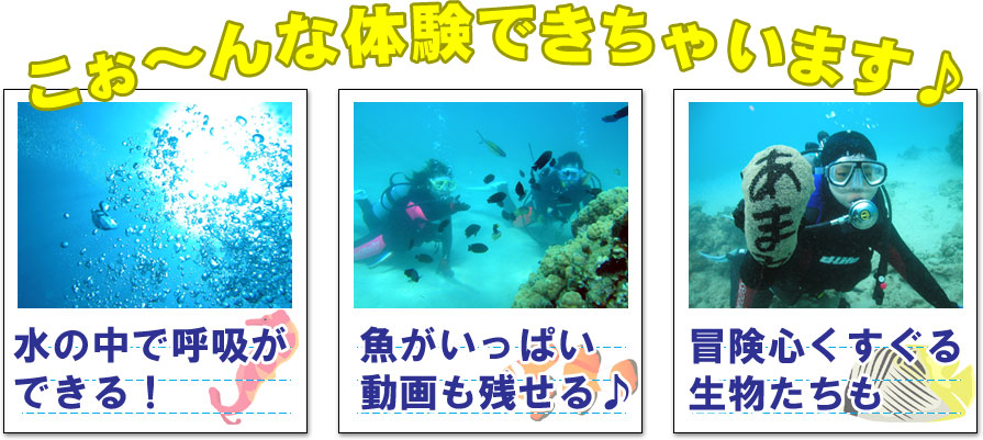 こ～んな体験できちゃいます！