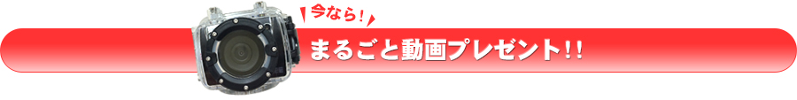 今なら、まるごと動画プレゼント！