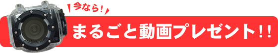今なら、まるごと動画プレゼント！