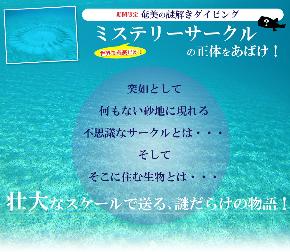 ミステリーサークルの正体とは！？