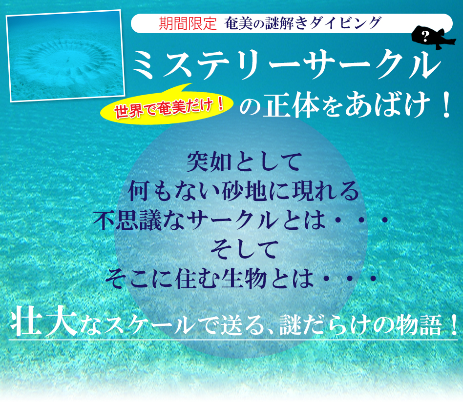 ミステリーサークルの正体とは！？