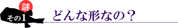 謎その２。どんな形をしているの？