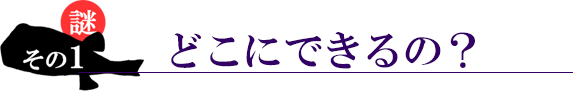 謎その３。どこにできるの？