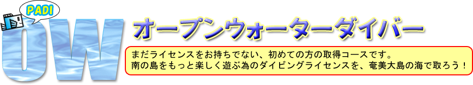 オープンウォーター取得講習