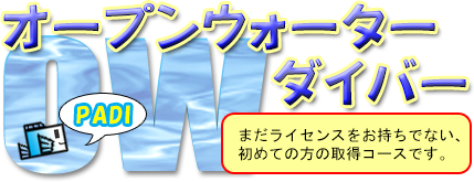 オープンウォーター取得講習
