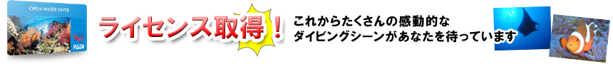 オープンウォーターゲット！