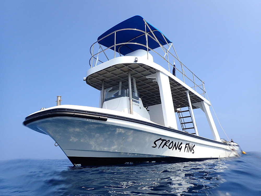 STRONG FINS