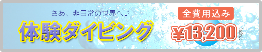 体験ダイビング料金12000円税別