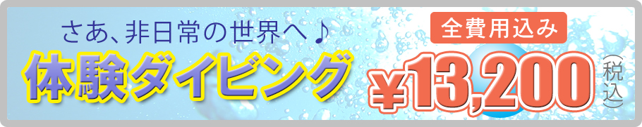 体験ダイビング料金12000円税別
